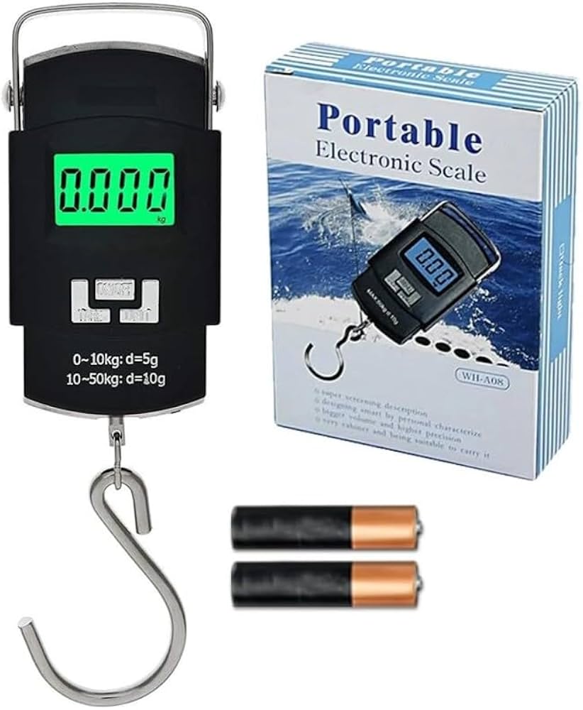Portable scale