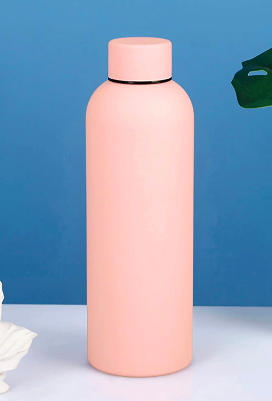 Stainless Steel Vacuum Water Bottle